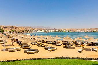 Beachfront with rows of straw parasols, sunbeds, and calm turquoise water