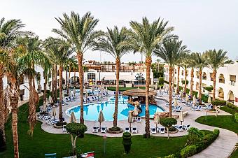 Resort courtyard with palm trees, circular pool, and rows of blue sun loungers and umbrellas