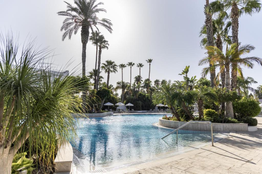 Outdoor pool surrounded by palm trees and landscaped sun deck.