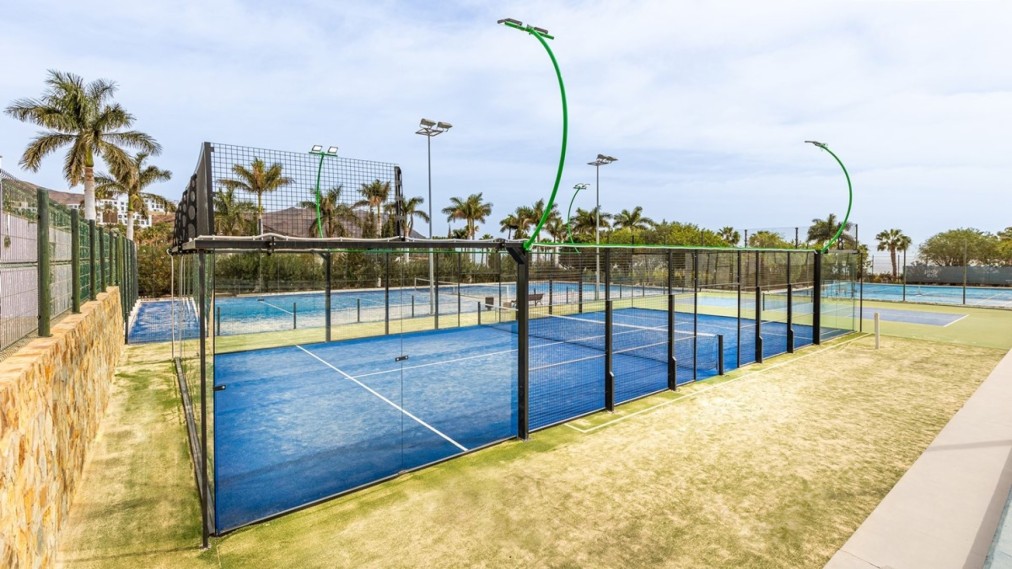 Outdoor-Padelplätze mit blauem Belag, Glaswänden und Flutlicht, umgeben von Palmen.