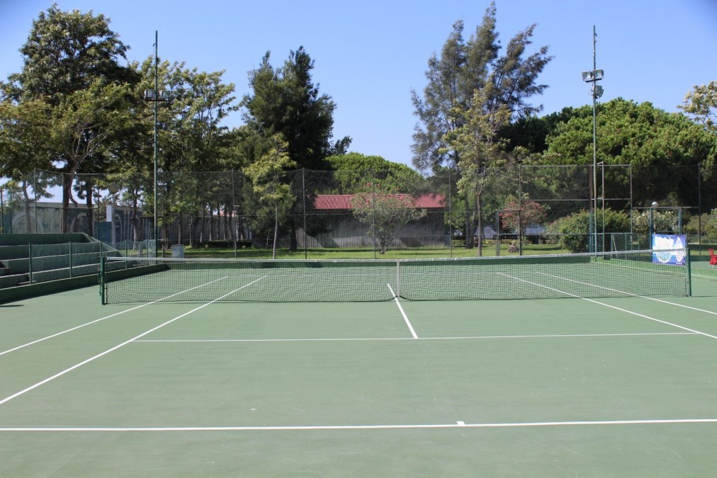 Außen-Hartplatz-Tennisplatz, umgeben von Bäumen und Zäunen.