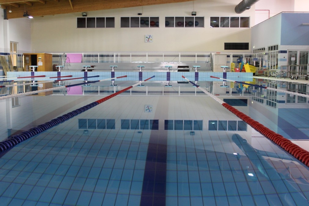 Hallen-Schwimmbecken mit Leinen und Startblöcken.