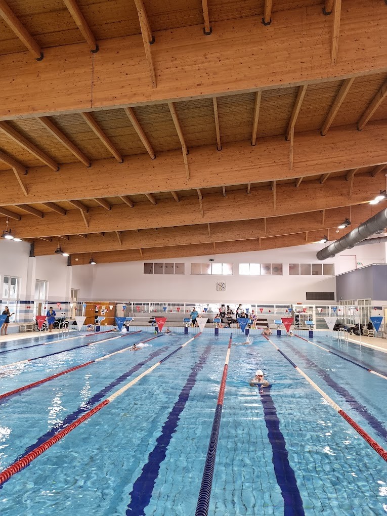 Hallenbad mit mehreren trainierenden Athleten unter einer hohen Holzdecke.