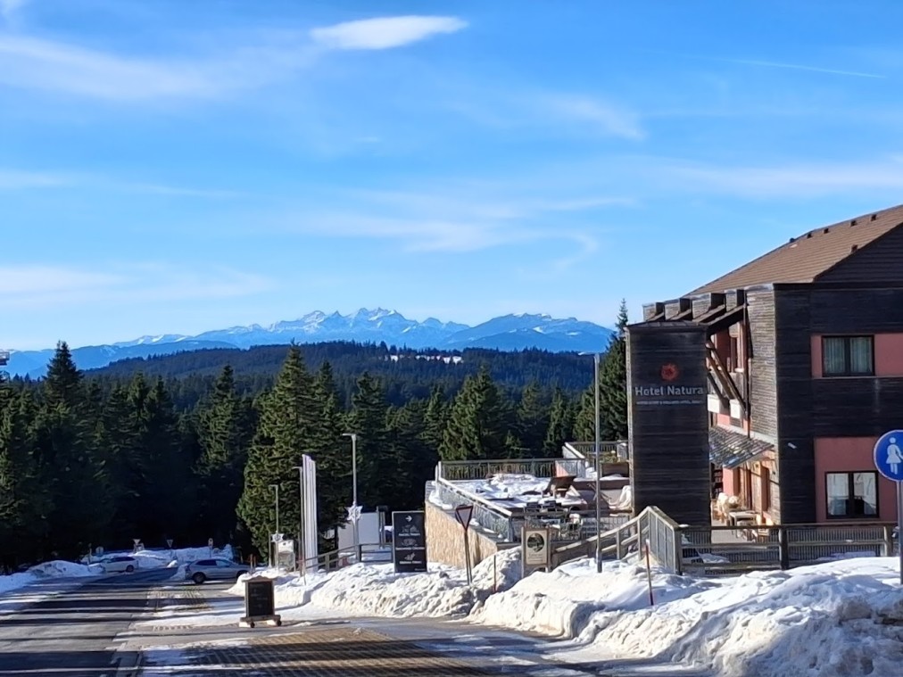 Verschneite Hotelaußenansicht mit Bergblick und von Wald gesäumter Zufahrt.