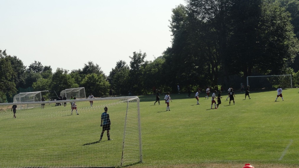 Spieler auf einem Fußballplatz mit mehreren Toren und Bäumen rund um das Feld.