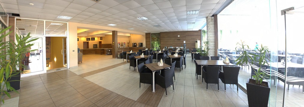 Salle à manger d'hôtel spacieuse avec tables sombres, chaises, plantes et lumière naturelle, utilisée pour les repas du stage d'entraînement
