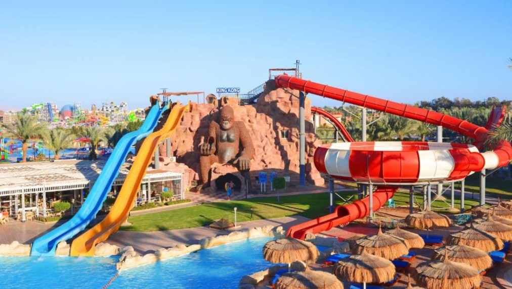 Toboggans aquatiques et bassin ludique avec grand toboggan tubulaire et décor rocheux thématique.